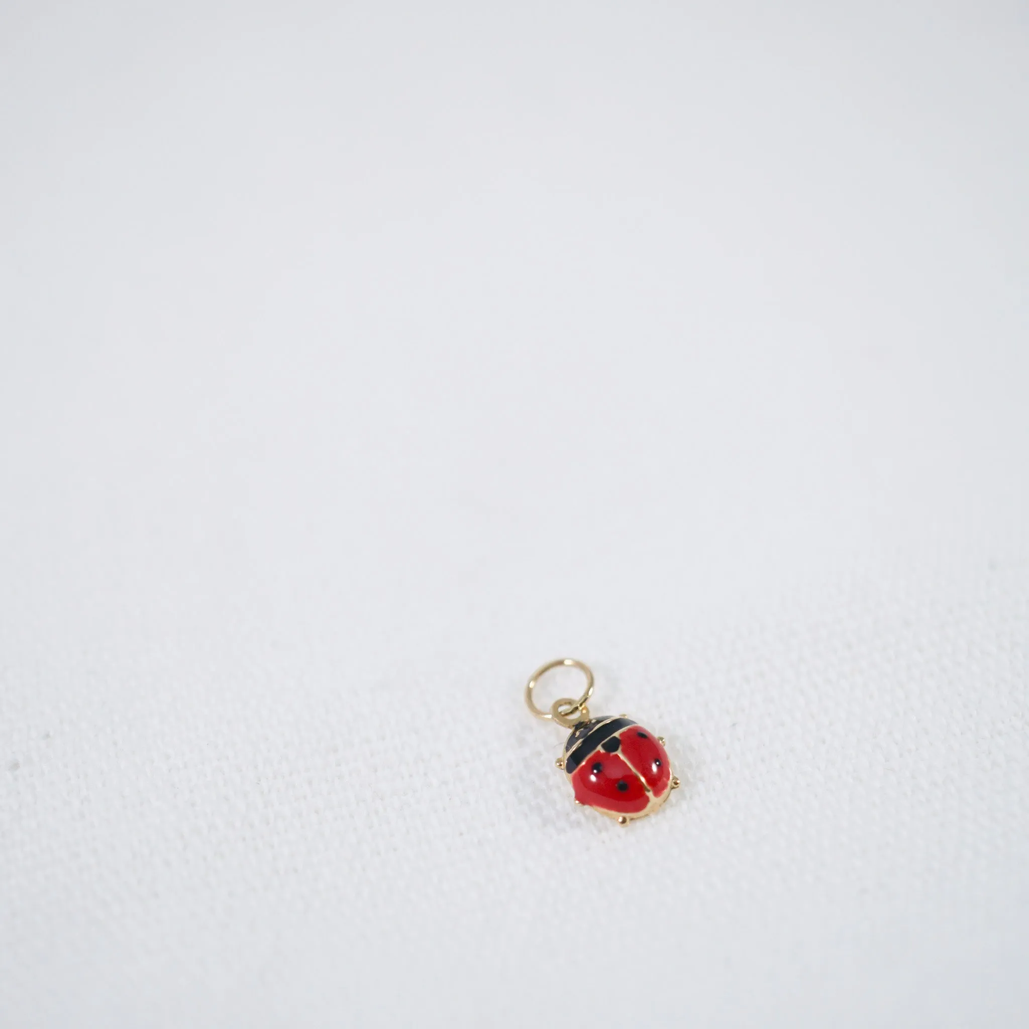 14kt Lady Bug Charm