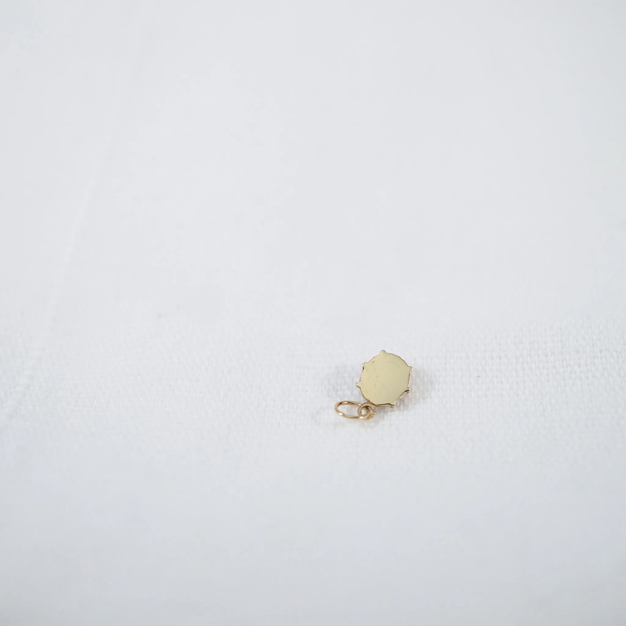14kt Lady Bug Charm