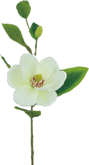 25" Magnolia Spray: Cream - 29346CM