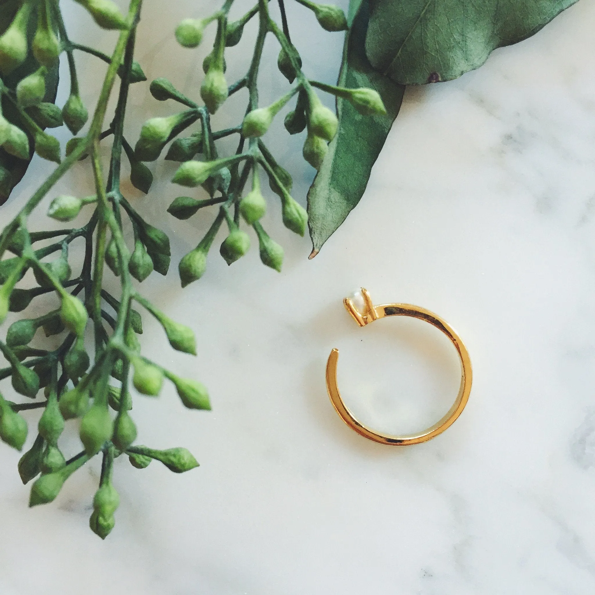 Cassie Ring