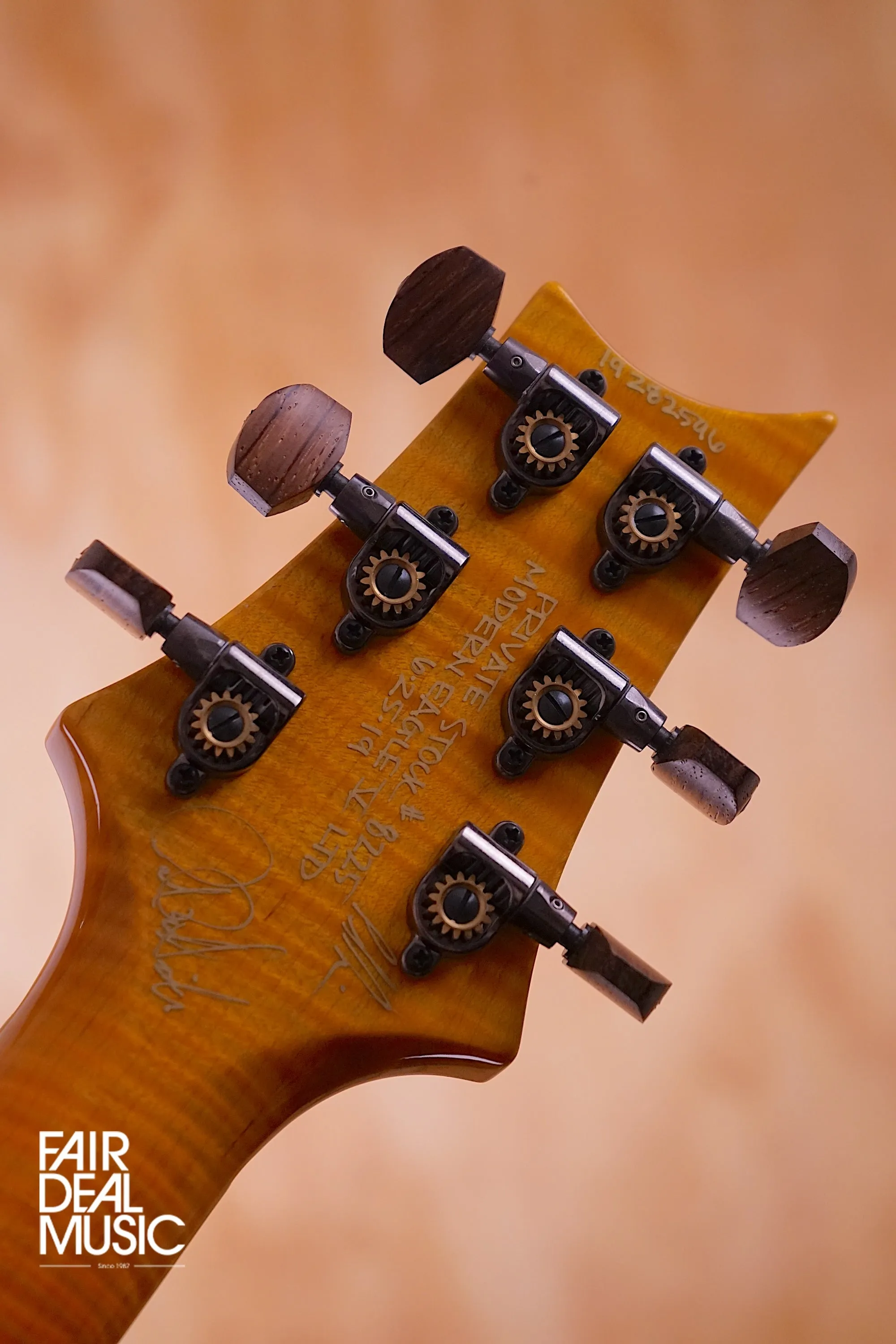 PRS Private Stock Modern Eagle V LTD Dragon's Breath, USED