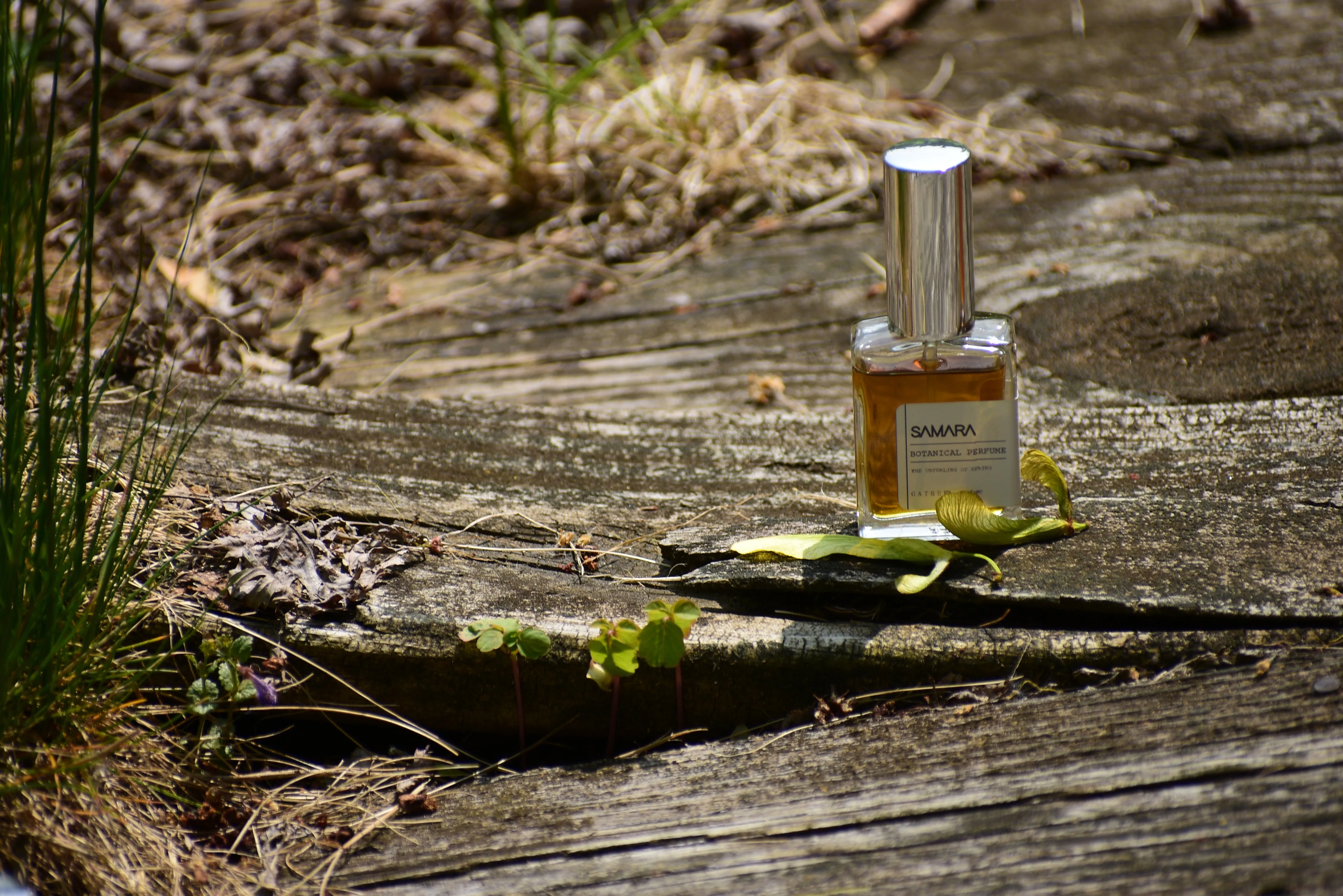 SAMARA - Natural Botanical Perfume - The Unfurling of Spring
