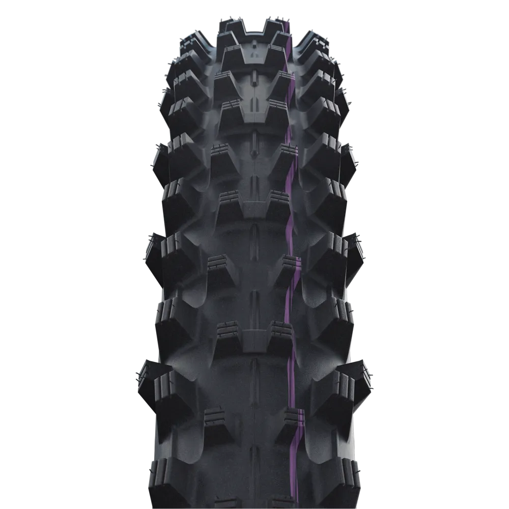 Schwalbe Tyre Dirty Dan