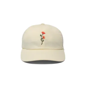 Standard Adjustable Cap With Butter Blend
